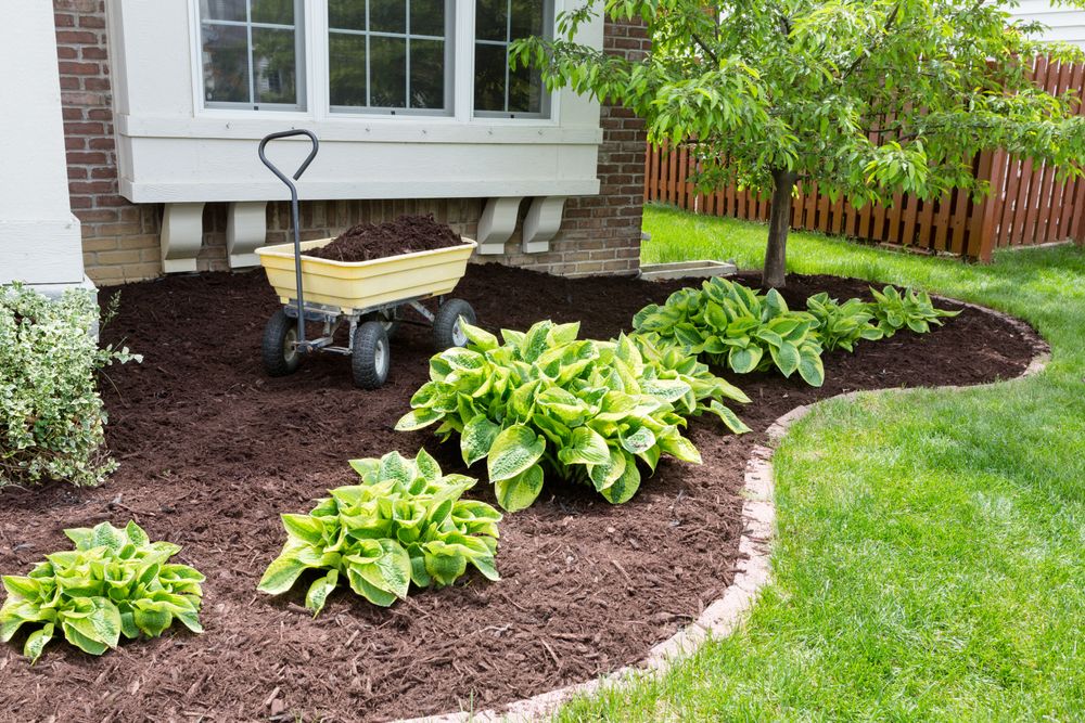 Mulch Installation